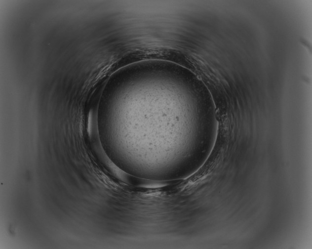 X0000093210916200709261553