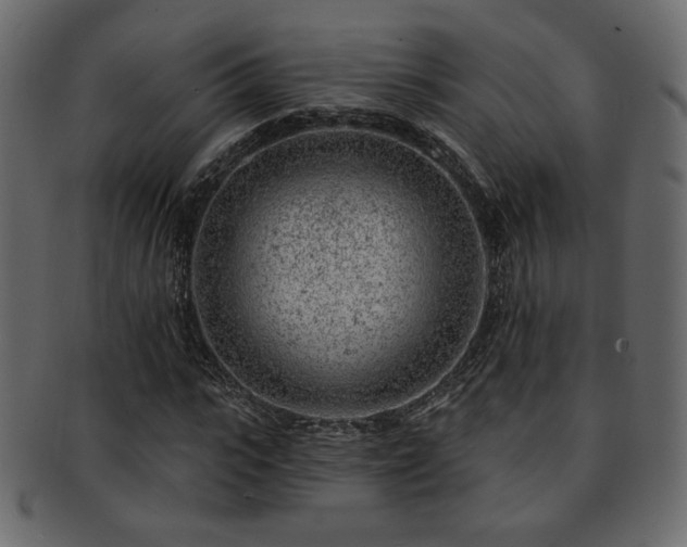 X0000093210919200709261553