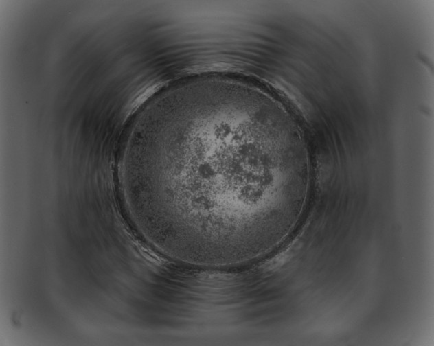 X0000093210921200709261553