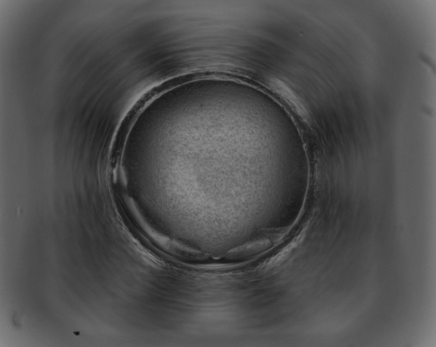 X0000093210924200709261553