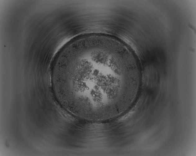 X0000093210925200709261553