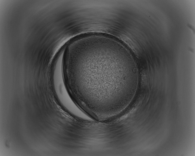X0000093210926200709261553