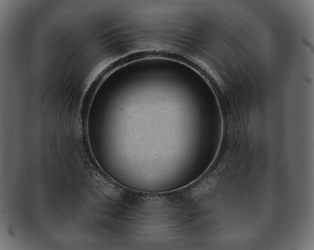 X0000093210927200709261553