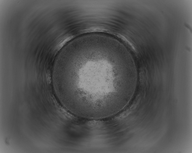 X0000093210929200709261553