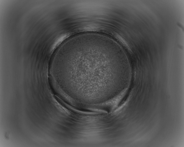 X0000093210930200709261553