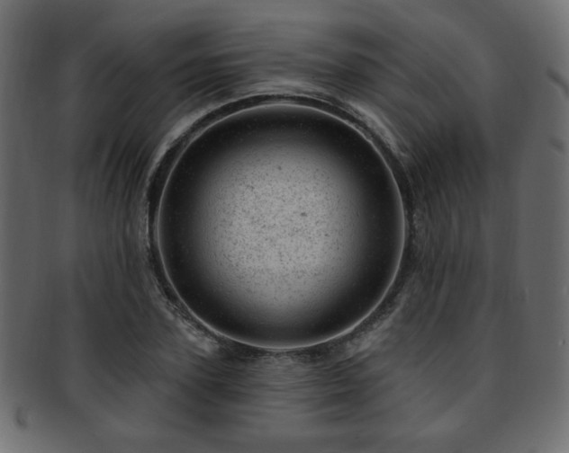 X0000093210931200709261553
