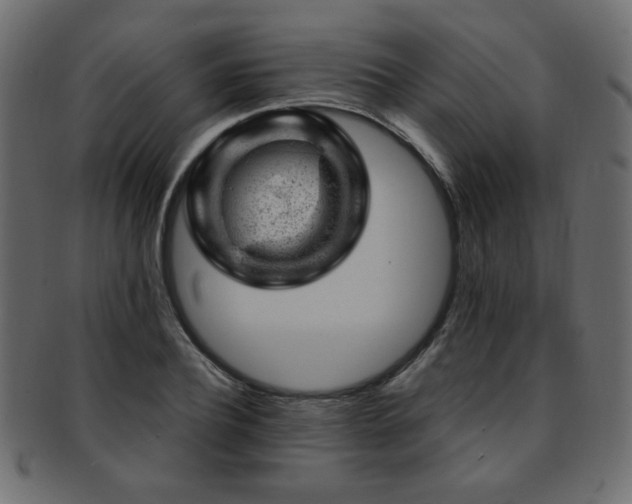 X0000093210932200709261553