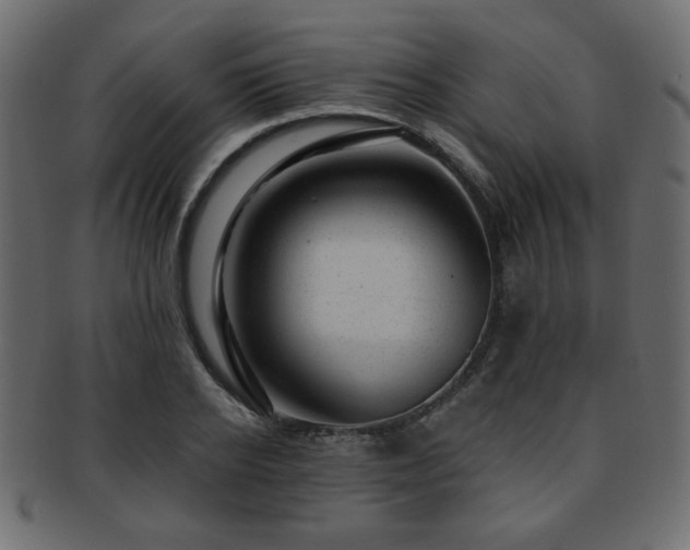 X0000093210934200709261553