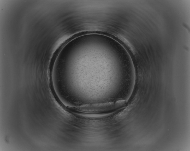 X0000093210935200709261553