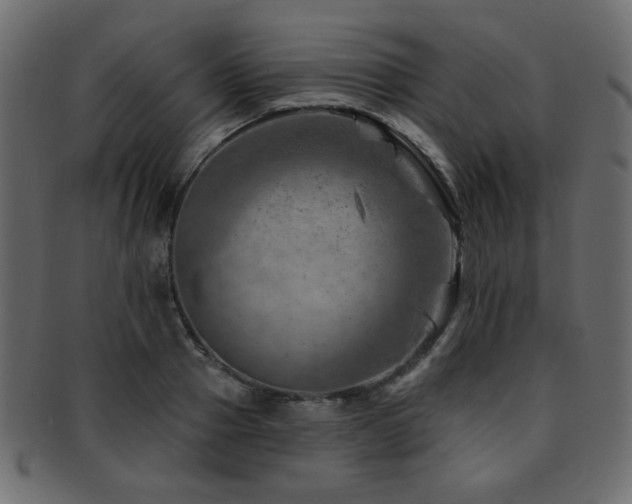 X0000093210937200709261553