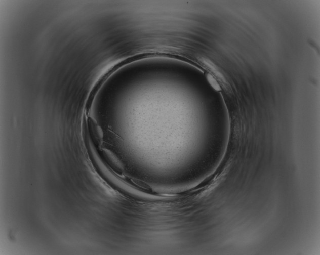 X0000093210940200709261553