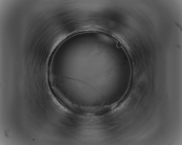 X0000093210941200709261553