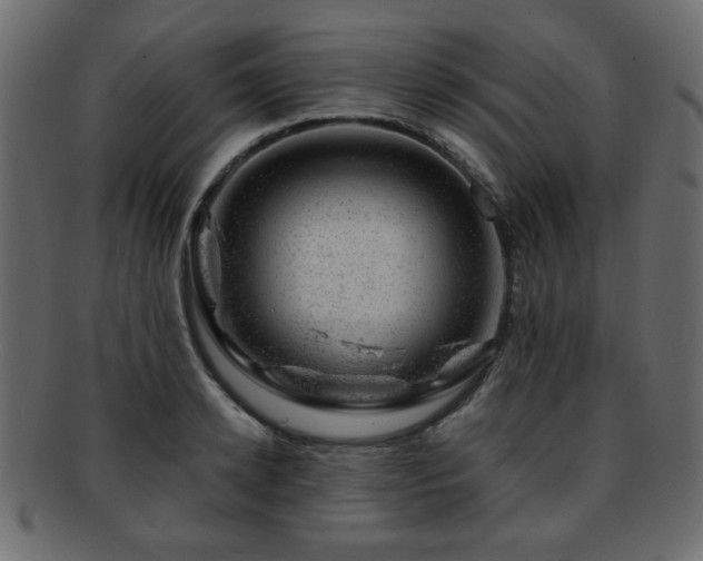 X0000093210942200709261553