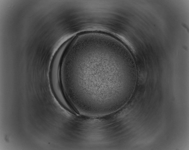 X0000093210943200709261553
