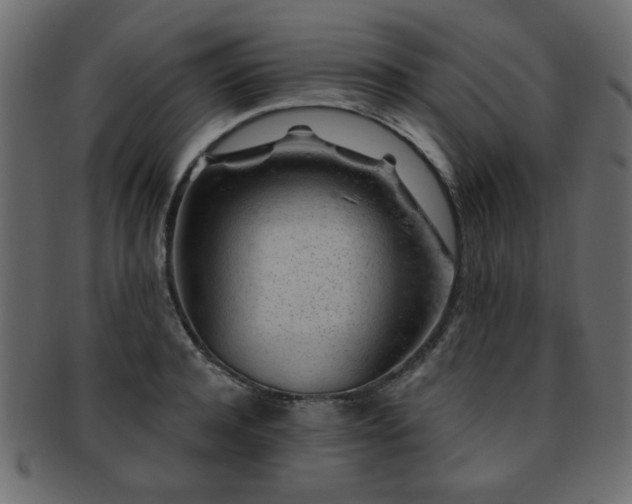 X0000093210944200709261553