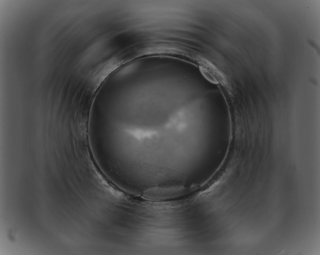 X0000093210945200709261553