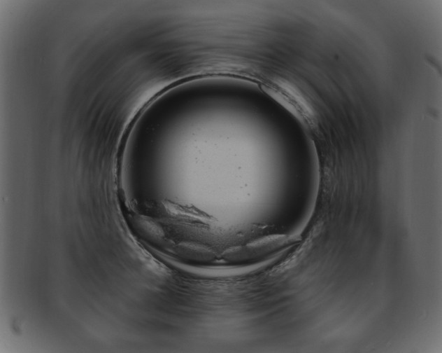X0000093210948200709261553