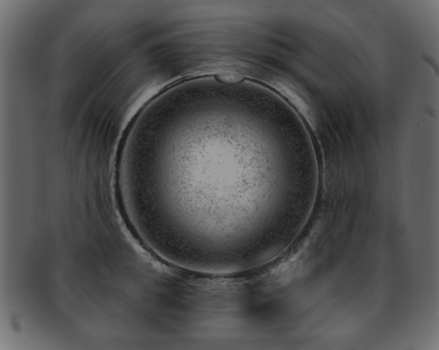 X0000093210949200709261554