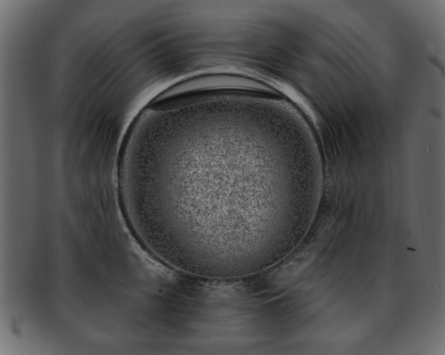 X0000093210951200709261554