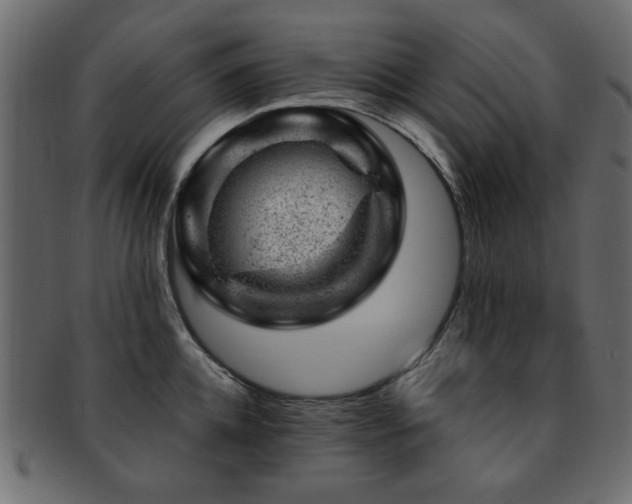 X0000093210952200709261554