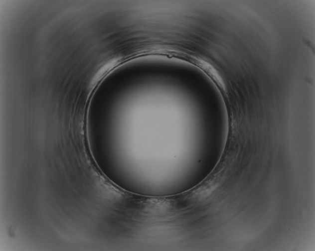 X0000093210954200709261554