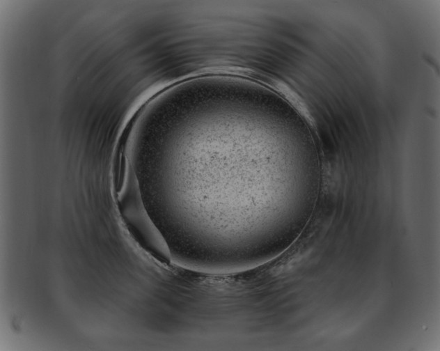 X0000093210955200709261554