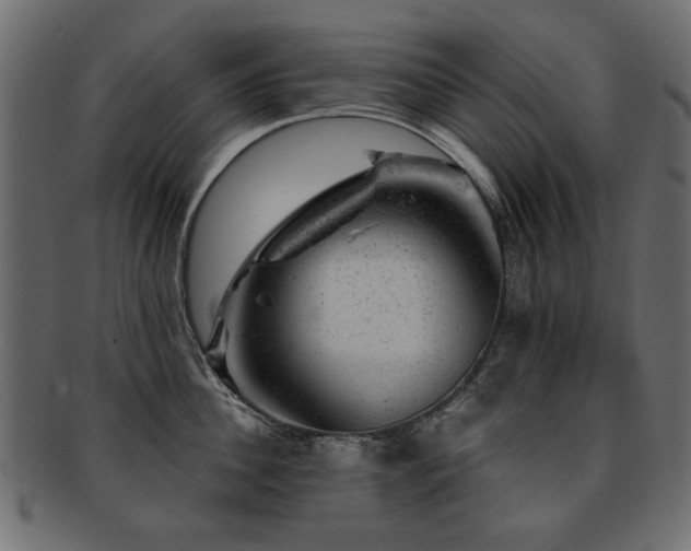 X0000093210956200709261554