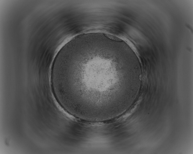 X0000093210957200709261554