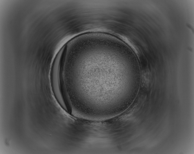 X0000093210959200709261554