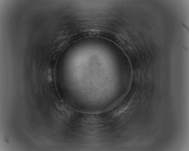 X0000093210962200709261553