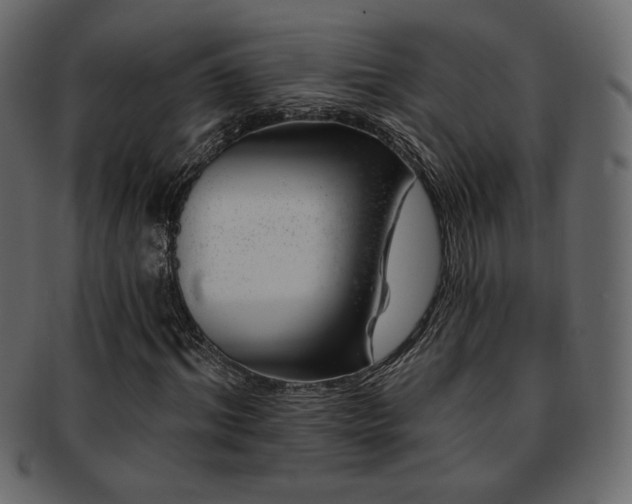 X0000093210964200709261553