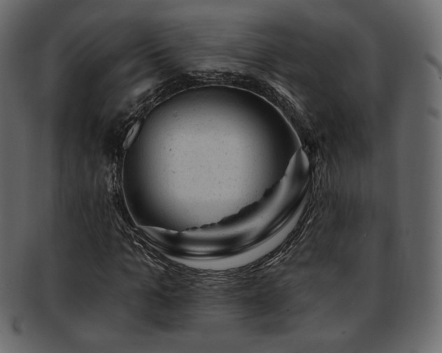 X0000093210965200709261553