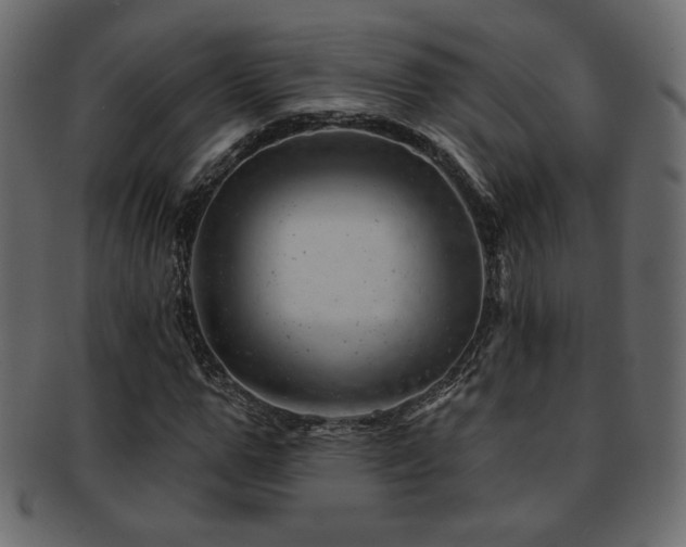 X0000093210967200709261553