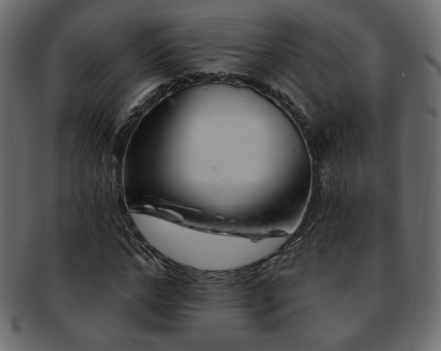 X0000093210968200709261553