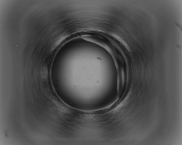 X0000093210969200709261553
