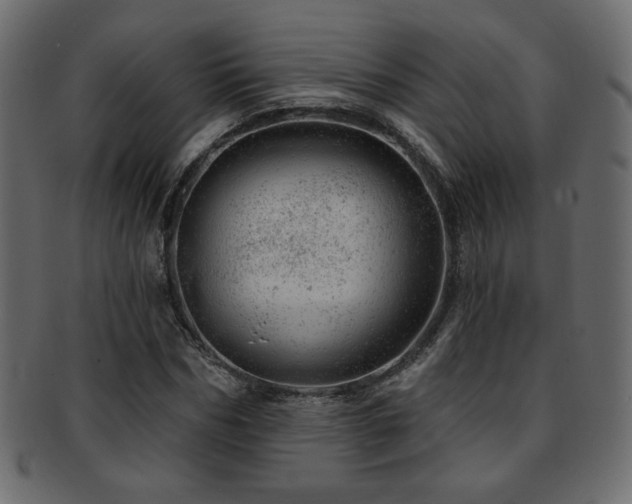 X0000093210970200709261553