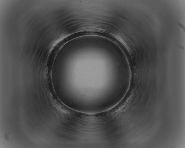 X0000093210971200709261553