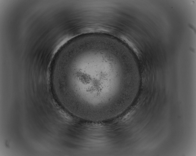 X0000093210975200709261553