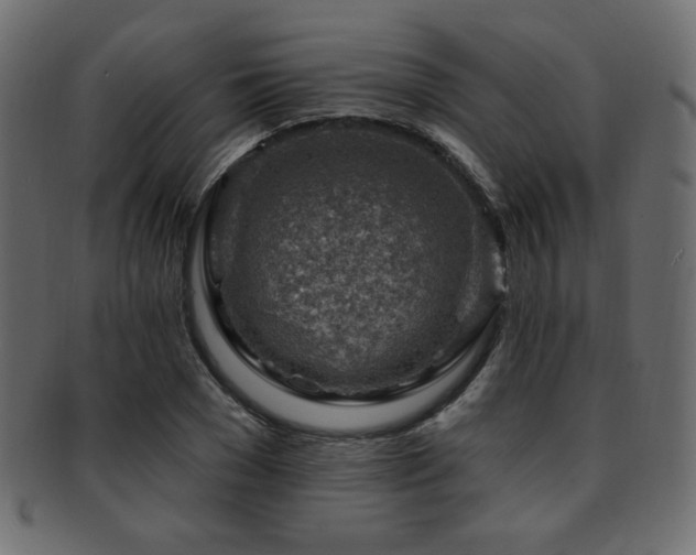 X0000093210977200709261553