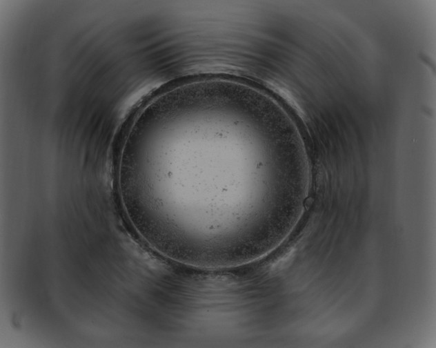 X0000093210979200709261553