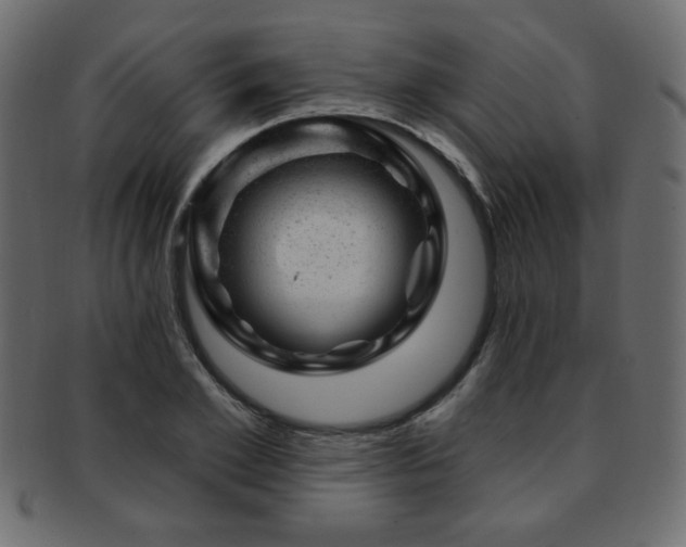 X0000093210981200709261553