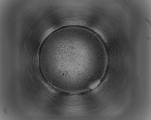 X0000093210982200709261553