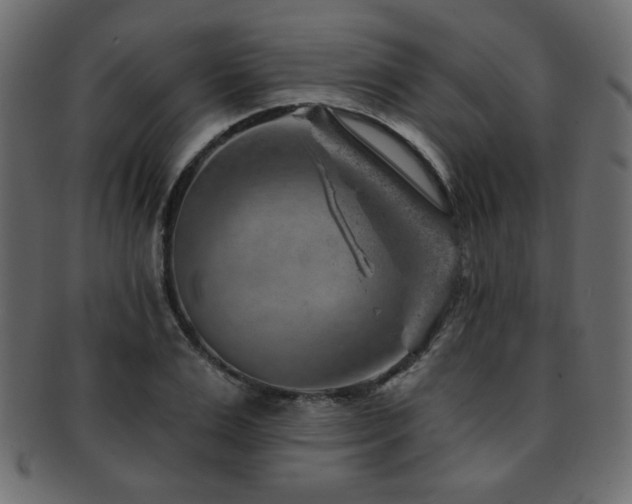 X0000093210983200709261553