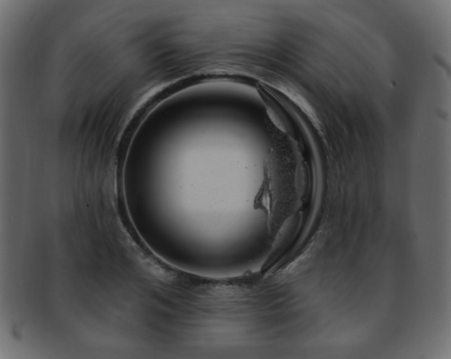 X0000093210984200709261553
