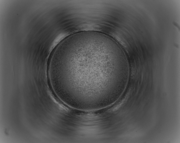 X0000093210986200709261553