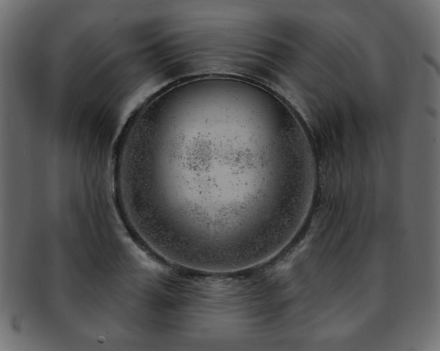 X0000093210987200709261553