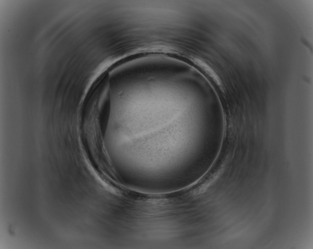 X0000093210989200709261553