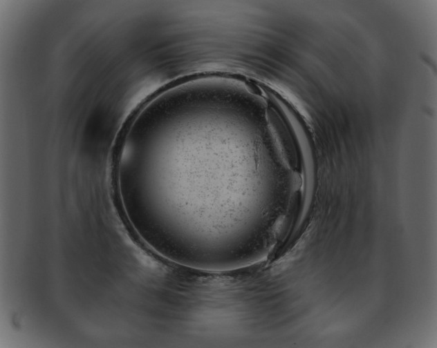 X0000093210991200709261553