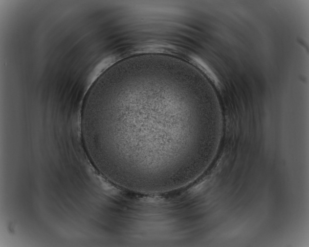 X0000093210994200709261553