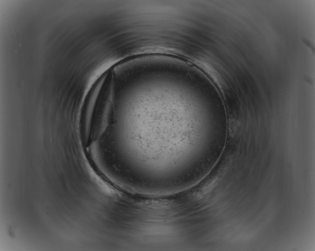 X0000093210995200709261553